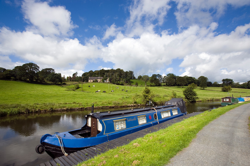DCP1874 
 Moored narrow boats on Leeds Liverpool canal at Foulridge, Lancashire 
 Keywords: Leeds Liverpool, canal, waterway, Foulridge, tow, path, narrow, boat, barge, moor, moored, field, fiels, agriculture, agricultural, rural, blue, sky, clouds, Lancashire, Lancs, Northwest, England, UK, Britain, Europe, DCP1874