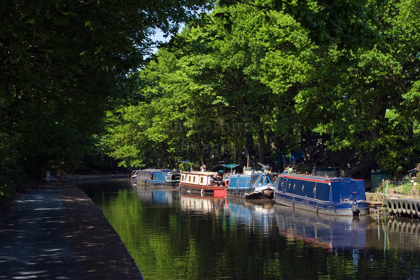 DCP1767 
 Narrow boats on the Leeds Liverpool Canal at Adlington in Lancashire 
 Keywords: Leeds Liverpool, Canal, Adlington, waterway, water, narrow, boat, barge, moor, moored, tree, trees, reflect, reflected, reflection, tow, path, shade, shaded, Lancashire, Sefton, Lancs, England, UK, Europe, north, west, northwest, DCP1767