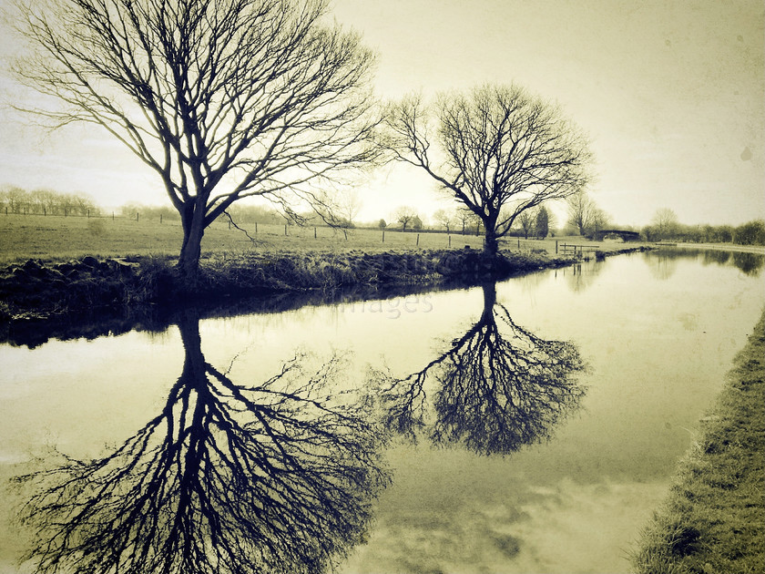 IMG 1618 
 Reflection of trees in Leeds Liverpool Canal at Adlington 
 Keywords: canal tree trees reflection iphonography