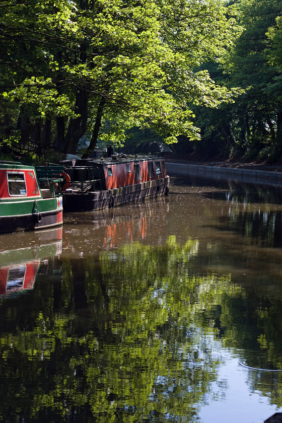 DCP1768 
 Narrow boats on the Leeds Liverpool Canal at Adlington in Lancashire 
 Keywords: Leeds Liverpool, Canal, Adlington, waterway, water, narrow, boat, barge, moor, moored, tree, trees, reflect, reflected, reflection, Lancashire, Sefton, Lancs, England, UK, Europe, north, west, northwest, DCP1768