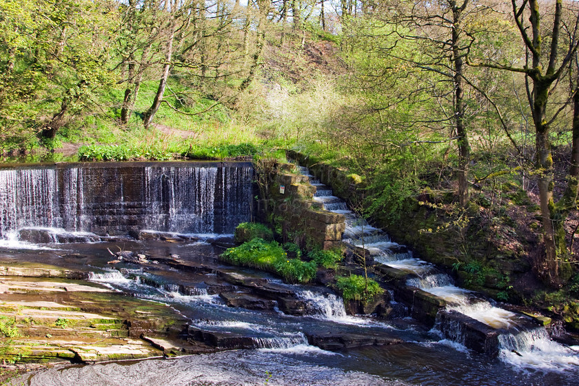 DCP2005 
 Weir and "fish ladder" at Yarrow Valley country park in Chorley 
 Keywords: Chorley, Yarrow, Valley, weir, water, steps, steps, wo0d, woodland, wooded, Lancashire, Lancs, England, UK, Britain, Europe, DCP2005