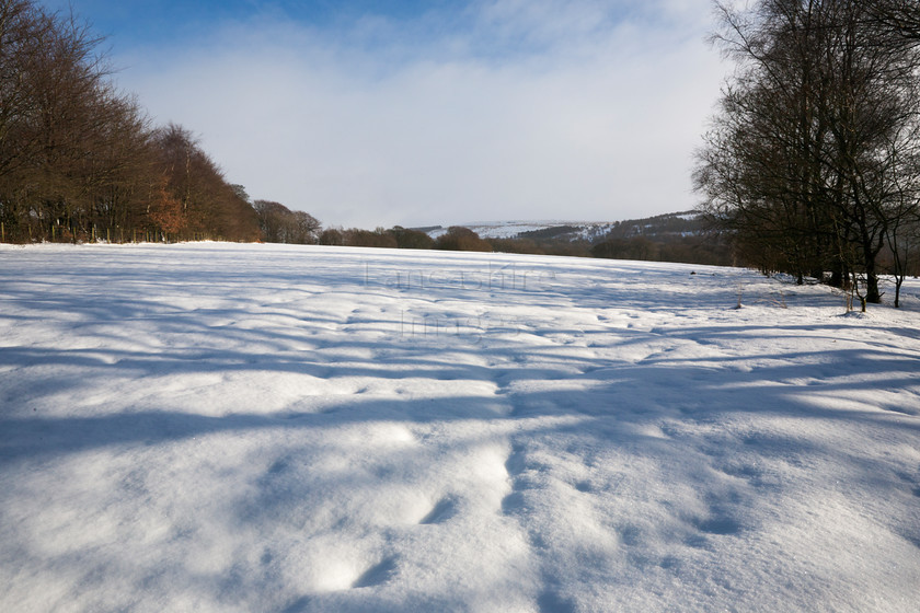 DCP2336 
 Snow covered field at Rivington 
 Keywords: Rivington, texture, weather, winter, snow, Lancs, Lancashire, England, Britain, UK, Europe, DCP2336