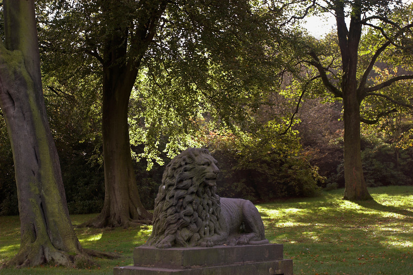 DCP0984 
 Statue of Lion in Haigh Hall Country Park Wigan 
 Keywords: Haigh, Hall, Wigan, Lancashire, Lancs, North, West, Northwest, England, UK, Britain, Europe, country, park, tree, leaf, leaves, season, autumn, autumnal, fall, country, park, backlit, back, light, statue, sculpture, public, art, lion, shadow, garden, grass, dapple, dappled, horizontal, DCP0984